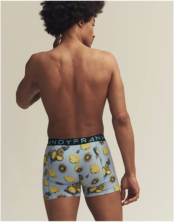 Мужские трусы "Lemonade Boxer"