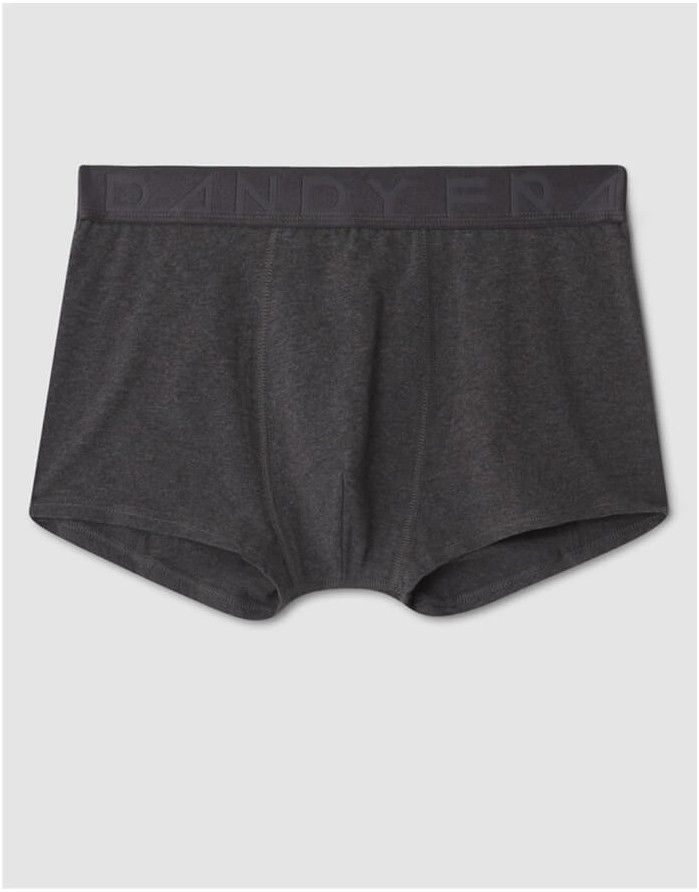 Vīriešu biksītes "Legend Organic Trunk"