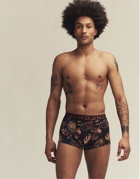 Men's Panties "Hidden Tiger"