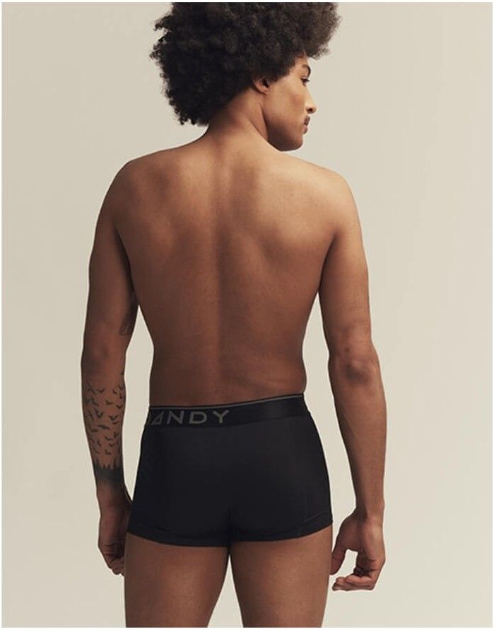 Vīriešu biksītes "Legend Mesh Trunk"