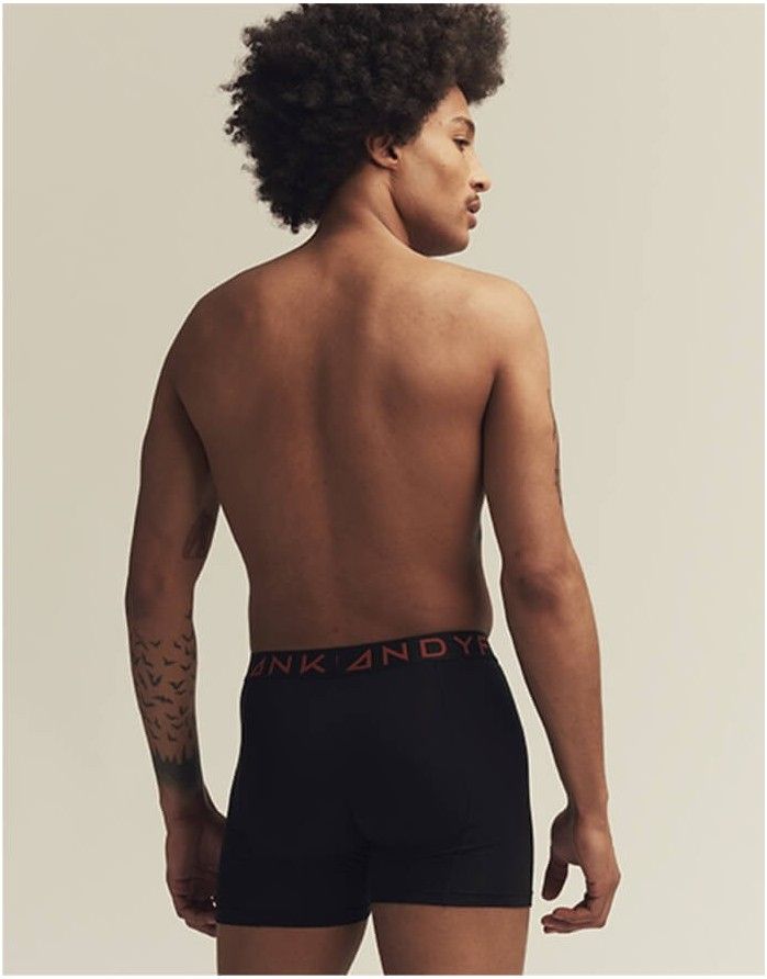 Vīriešu biksītes "Solid Boxer Black"