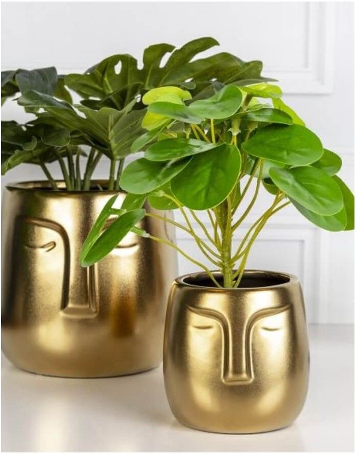 Puķu pods "Face Golden"