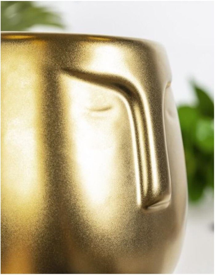 Puķu pods "Face Golden"