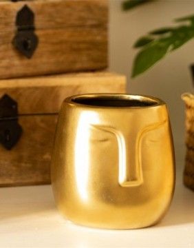 Puķu pods "Face Golden"