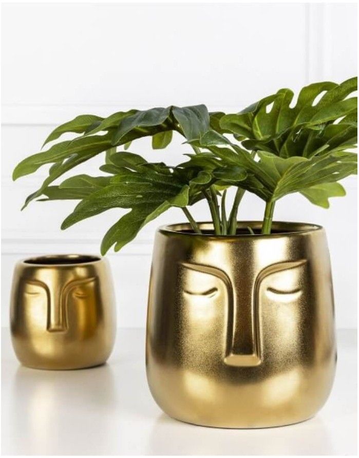 Puķu pods "Face"