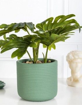 Flowerpot "Face"