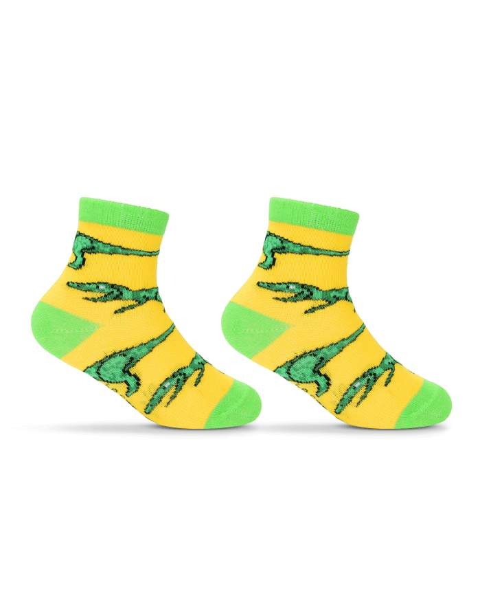 Детские носки "Dino Jim"