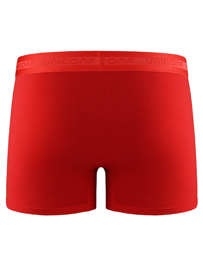 Men's Panties "Sibiu"