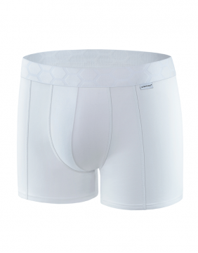 Men's Panties "Harlau"