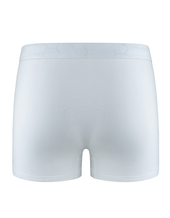 Men's Panties "Harlau"