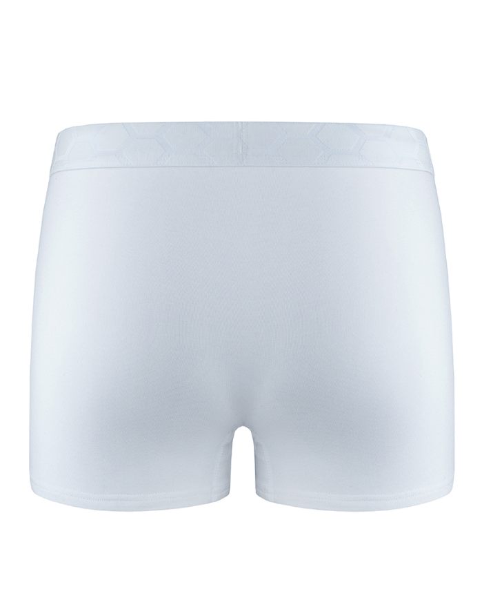 Men's Panties "Mizil"