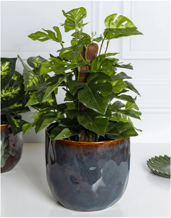 Flowerpot "Rona Blue"