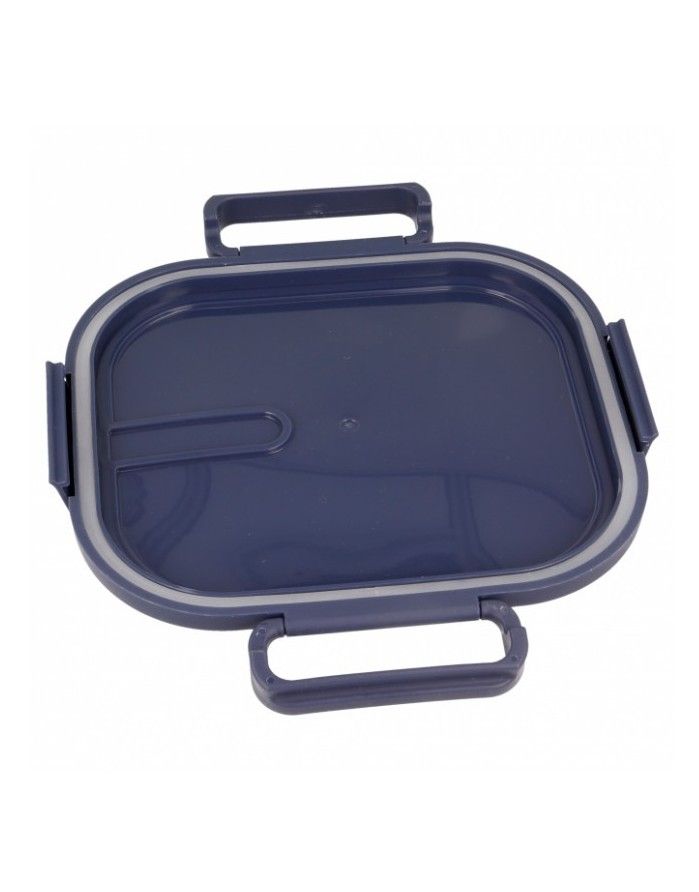 Lunch box "Blueberry"