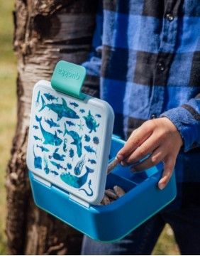 Pusdienu kaste "Blue Sea Animals"