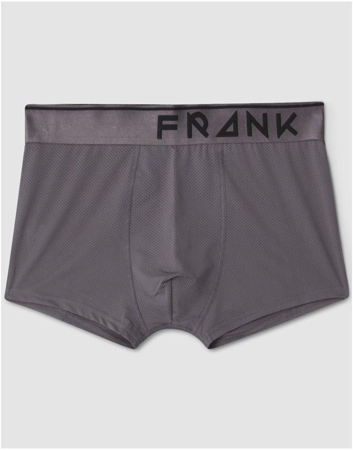 Vīriešu biksītes "Legend Mesh Grey"