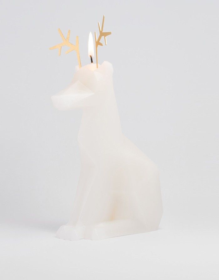 Svece PYRO PET "Dyri White" 54° CELSIUS - 2