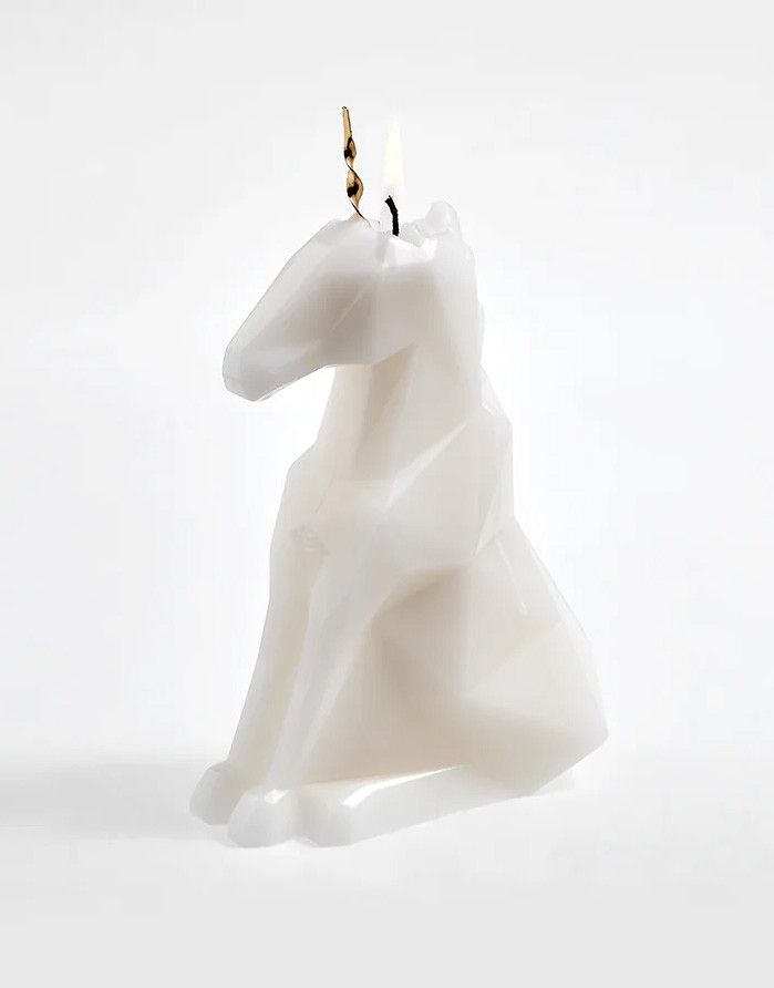 Scented Candle PYRO PET "Einar White" 54° CELSIUS - 2