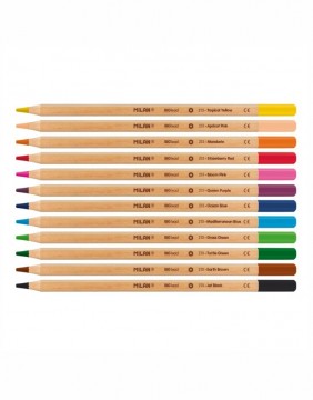 Colored pencils Thick Lead 12 pcs