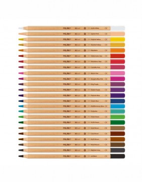 Colored pencils Metal Box Thick Lead 24 pcs