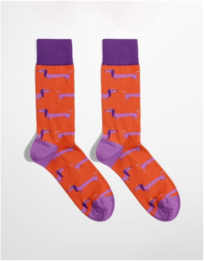 Unisex Kojinės "Happy Daschund"
