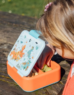 Lunch box "Map of Life"