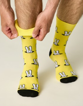 Men's Socks ''Rabbit Garden''