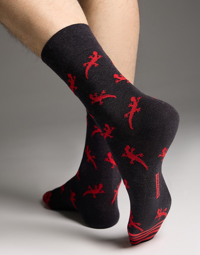 Vīriešu zeķes "Happy  Lizards"