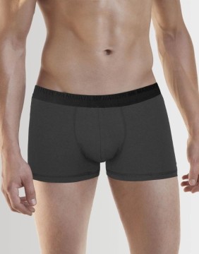 Vīriešu apakšbikses "Boxers Pro Grey"