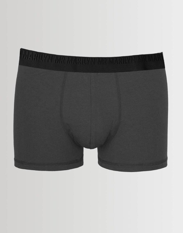 Vīriešu apakšbikses "Boxers Pro Grey"
