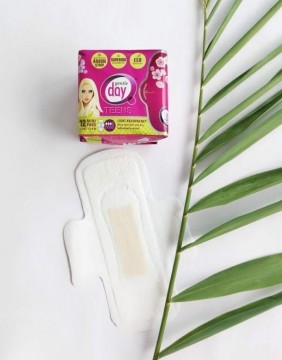 GENTLE DAY Teens Mini Eco Certified Pads (Towels) with Anion Strip 12 PC
