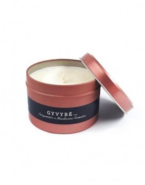 Soy wax candle "Gyvybė"