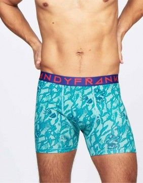 Men's Panties "Seaweed"