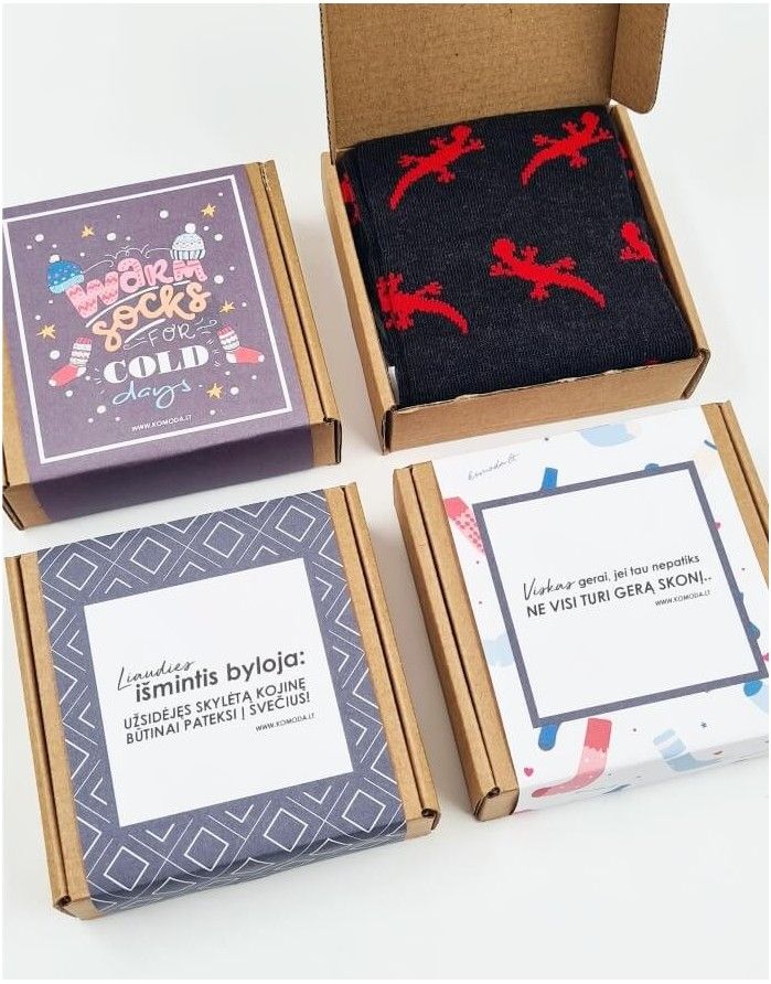 Gift set "Lizard"