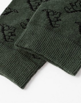 Children's socks "Dinosaurus"