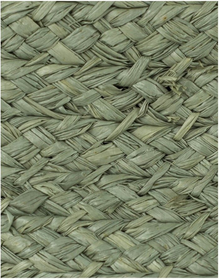 Panama "Green Leaf"