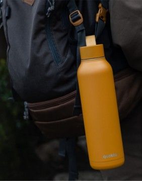 Thermos "Zebras", 330 ml