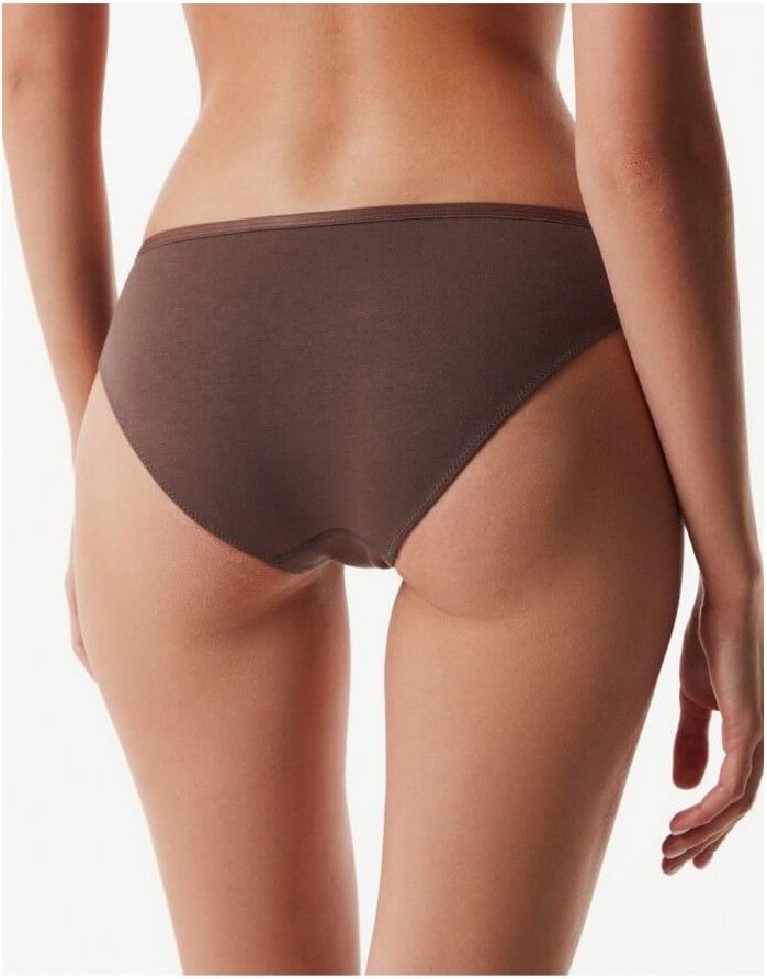 Women's Panties Classic ''Zebra Cappuccino''