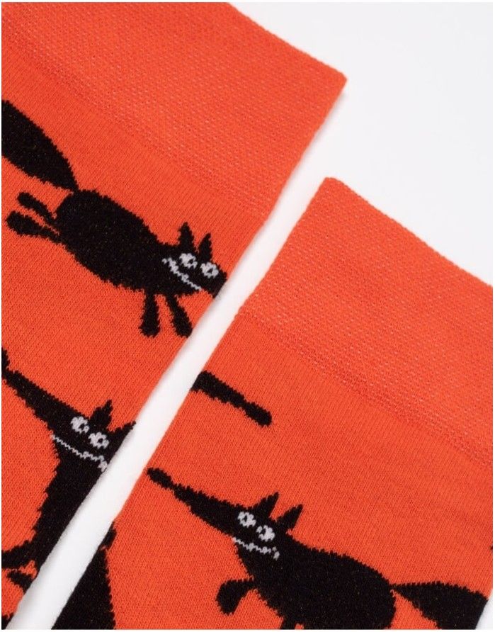Men's Socks "Fox"